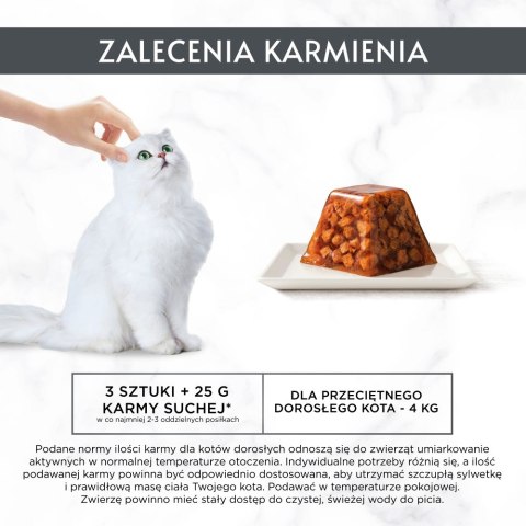 PURINA NESTLE PURINA GOURMET REVELATIONS Kurczak w galaretce 2X57g PURINA NESTLE PURINA GOURMET REVELATIONS Kurczak w galaretce 2X57g
