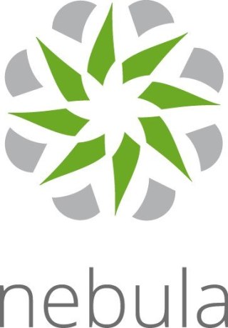 ZyXEL Licencja Zyxel Nebula Professional Pack (Na Urządzenie) 1 ROK