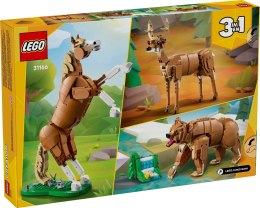Lego LEGO Creator 31166 Piękny koń