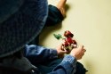 Lego LEGO Jurassic World 76970 Mały dinozaur Dolores: aquilops