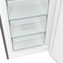 Gorenje Zamrażarka GORENJE FN619EES5
