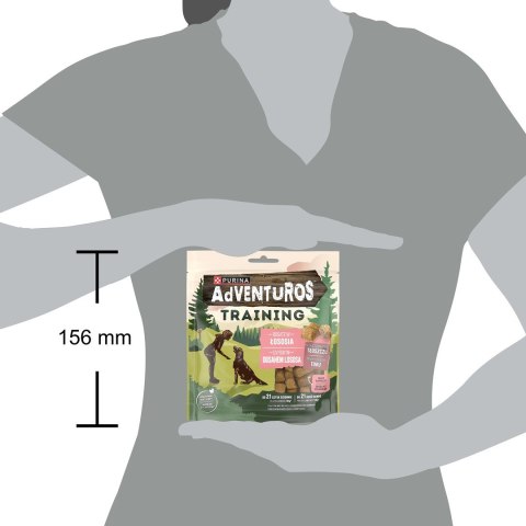 PURINA NESTLE PURINA Adventuros Training salmon 40g PURINA NESTLE PURINA Adventuros Training salmon 40g