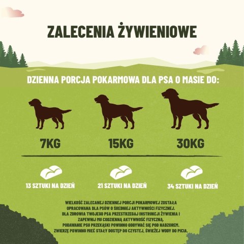 PURINA NESTLE PURINA Adventuros Training salmon 40g PURINA NESTLE PURINA Adventuros Training salmon 40g