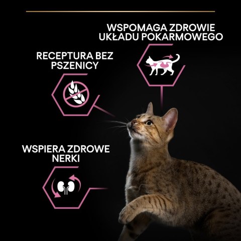 PURINA NESTLE PURINA PRO PLAN DELICATE Indyk 400g PURINA NESTLE PURINA PRO PLAN DELICATE Indyk 400g