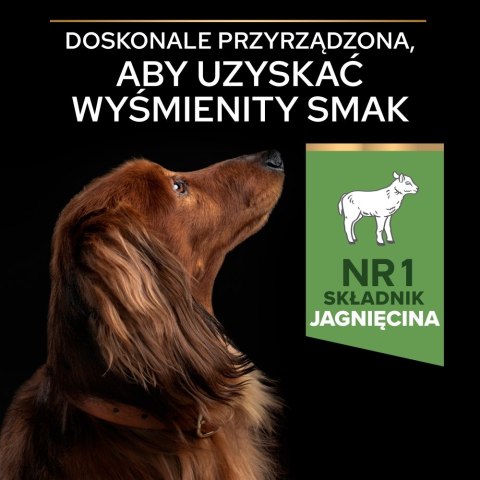 PURINA NESTLE PURINA PRO PLAN SMALL & MINI ADULT Jagnięcina 700g PURINA NESTLE PURINA PRO PLAN SMALL & MINI ADULT Jagnięcina 700g