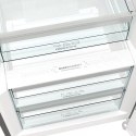 Gorenje Chłodziarka GORENJE R619EAXL6