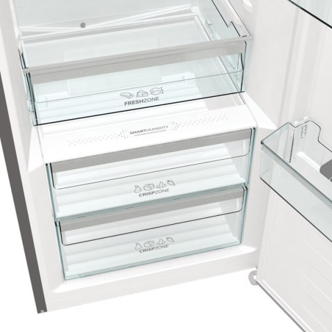 Gorenje Chłodziarka GORENJE R619EAXL6 Gorenje Chłodziarka GORENJE R619EAXL6