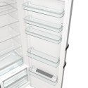 Gorenje Chłodziarka GORENJE R619EAXL6