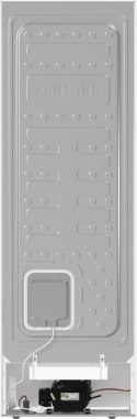 Gorenje Chłodziarka GORENJE R619EAW6