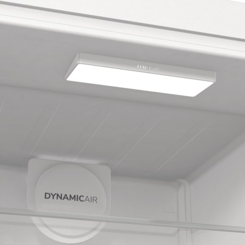 Gorenje Chłodziarka GORENJE R619EAW6 Gorenje Chłodziarka GORENJE R619EAW6
