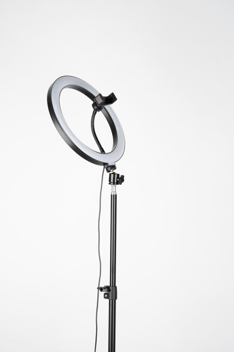 HAVIT Tripod Havit ST7012 Pro z pierścieniem świetlnym HAVIT Tripod Havit ST7012 Pro z pierścieniem świetlnym