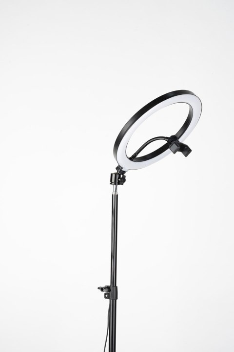 HAVIT Tripod Havit ST7012 Pro z pierścieniem świetlnym HAVIT Tripod Havit ST7012 Pro z pierścieniem świetlnym