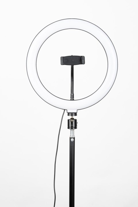HAVIT Tripod Havit ST7012 Pro z pierścieniem świetlnym HAVIT Tripod Havit ST7012 Pro z pierścieniem świetlnym