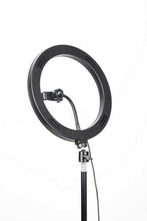HAVIT Tripod Havit ST7012 Pro z pierścieniem świetlnym HAVIT Tripod Havit ST7012 Pro z pierścieniem świetlnym
