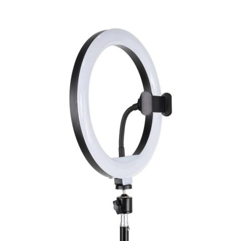 HAVIT Tripod Havit ST7026 z pierścieniem świetlnym RGB (czarny) HAVIT Tripod Havit ST7026 z pierścieniem świetlnym RGB (czarny)