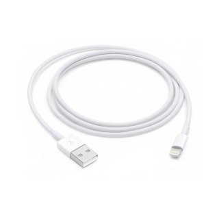 Apple Apple Lightning to USB Cable (1m)
