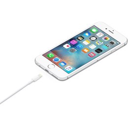 Apple Apple Lightning to USB Cable (1m)