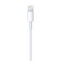 Apple Lightning to USB Cable (0.5 m) Apple Lightning to USB Cable (0.5 m)