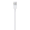Apple Lightning to USB Cable (0.5 m) Apple Lightning to USB Cable (0.5 m)