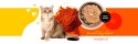 3coty 3Coty CHICKEN + KRILL for Adult cats 180g