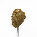3coty 3Coty TURKEY with Spirulina for Adult cats 180g