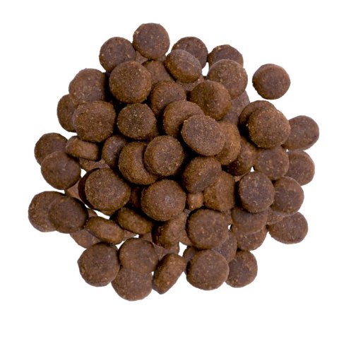Bult BULT Karma sucha z indykiem dla dorosłych psów 3kg Bult BULT Karma sucha z indykiem dla dorosłych psów 3kg