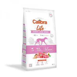 Calibra CALIBRA DOG life junior large breed lamb 12kg