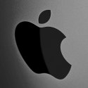 Apple Apple 16-inch MacBook Pro: Apple M4 Max chip with 14-core CPU and 32-core GPU, 36GB, 1TB SSD - Space Black