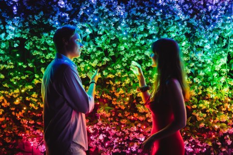 Twinkly Inteligentne lampki choinkowe Twinkly 250 RGB 20m Twinkly Inteligentne lampki choinkowe Twinkly 250 RGB 20m