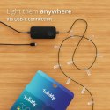 Twinkly Twinkly Candies - 100 Lampki w kształcie świeczki RGB LEDs, zielony przewód, USB-C