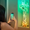 Twinkly Twinkly Candies - 200 Lampki w kształcie serc RGB LEDs, zielony przewód, USB-C