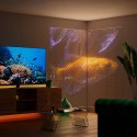 Twinkly Twinkly Matrix kurtyna świetlna 480 RGB 1x1 m
