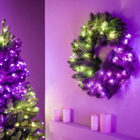 Twinkly Twinkly Wstępnie oświetlony wieniec - 50 RGB LED, Regal 24" zielony przewód, typ wtyczki C