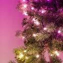 Twinkly Twinkly Wstępnie oświetlony wieniec - 50 RGB LED, Regal 24" zielony przewód, typ wtyczki C