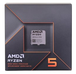 AMD Procesor AMD Ryzen 5 8500G