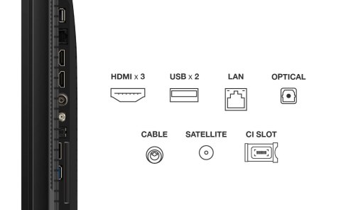 TCL Telewizor TCL 43P79K QLED 43'' 4K Ultra HD Google TV Dolby Vision DVB-T2 Metaliczny TCL Telewizor TCL 43P79K QLED 43'' 4K Ultra HD Google TV Dolby Vision DVB-T2 Metaliczny