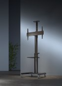 GEMBIRD GEMBIRD STOJAK POD TELEWIZOR MOBILNY 37-70" CZARNY