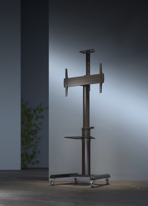 GEMBIRD GEMBIRD STOJAK POD TELEWIZOR MOBILNY 37-70" CZARNY GEMBIRD GEMBIRD STOJAK POD TELEWIZOR MOBILNY 37-70" CZARNY