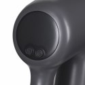 AEG Odkurzacz pionowy AP61CB21DG AEG
