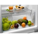 Electrolux Chłodziarka do zabudowy ELECTROLUX LRB2AE88S