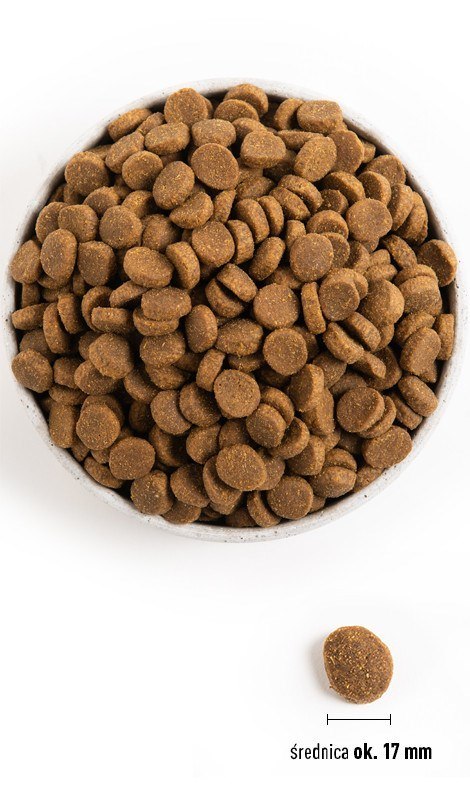 ACANA ACANA Adult Large Breed 11,4kg