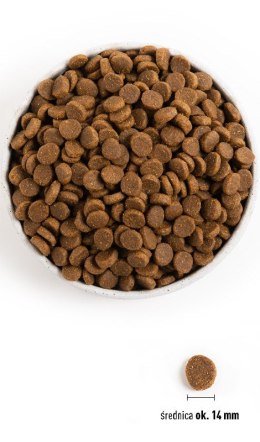 ACANA ACANA Senior Dog 11,4kg