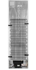Electrolux Chłodziarko-zamrażarka ELECTROLUX LNT7ME36G2