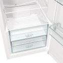 Gorenje Chłodziarka GORENJE R619EEW5