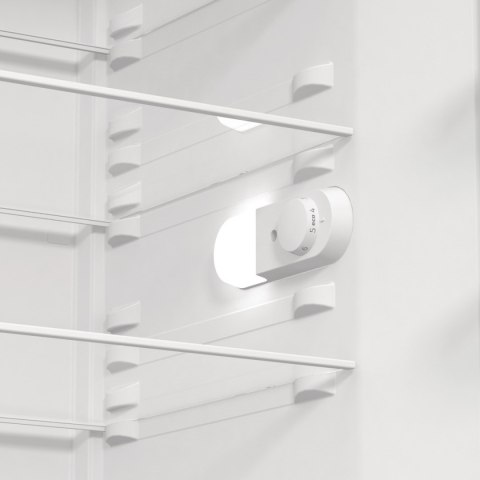 Gorenje Chłodziarka GORENJE R619EEW5