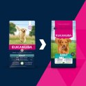 EUKANUBA EUKANUBA Adult Large Breed Lamb & Rice 12kg