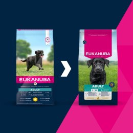 EUKANUBA EUKANUBA Adult Large rich in chicken 15kg