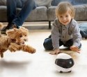 Enabot Robot AI ENABOT Ebo SE Biało-czarny