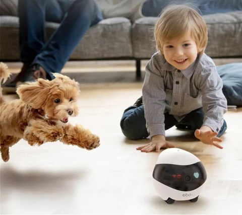 Enabot Robot AI ENABOT Ebo SE Biało-czarny Enabot Robot AI ENABOT Ebo SE Biało-czarny