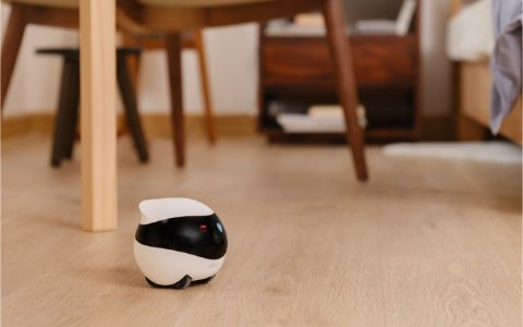 Enabot Robot AI ENABOT Ebo SE Biało-czarny Enabot Robot AI ENABOT Ebo SE Biało-czarny